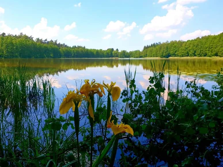 Jezioro Osiek Kujawsko-Pomorskie: raj dla miłośników natury i relaksu