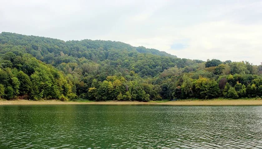 Gdzie na ryby w świętokrzyskim? Odkryj najlepsze miejsca i porady