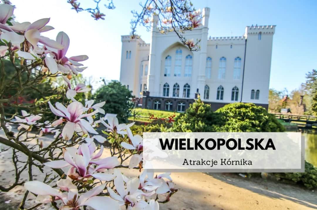 Najlepsze atrakcje w Kórniku, które musisz zobaczyć z rodziną